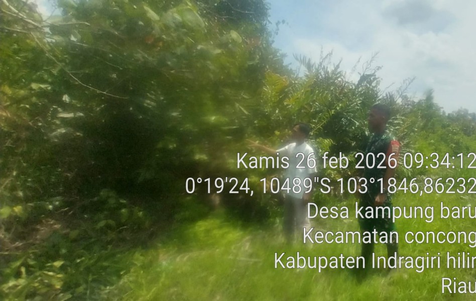 Babinsa Koramil 04/Kuindra: Kami Komitmen Dukung Lingkungan dengan Patroli Tapal Batas