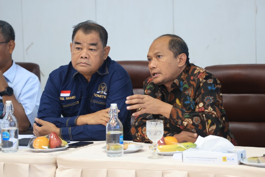 Perkuat Sinergi Kelistrikan di Provinsi Riau, DPD RI Kunjungi PLN Group Regional Riau