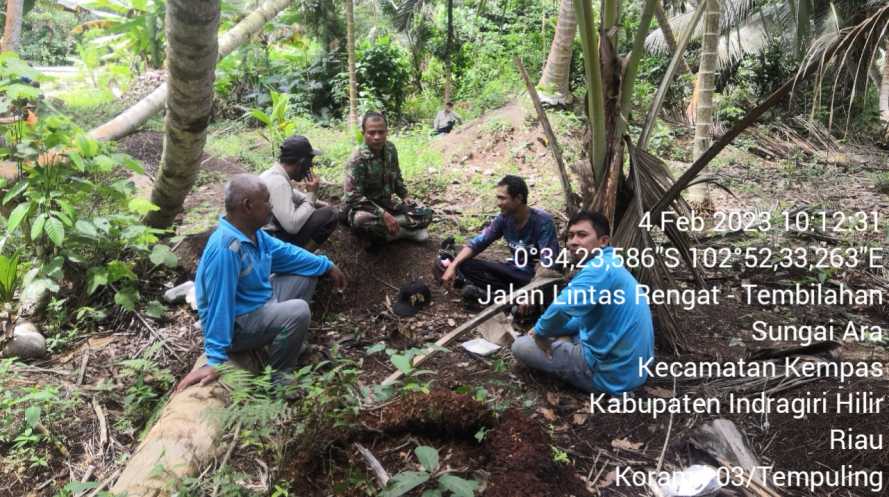 Jalin Kebersamaan, Babinsa 03/Tpl Komsos Dengan Petani Kelapa