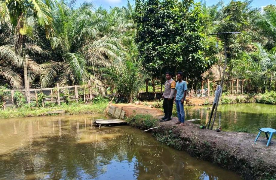 Polsek Kelayang Hadir Dukung Peternak Lokal, Ketahanan Pangan Semakin Kuat