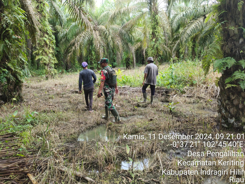Serda Darmadi Patroli Karhutla di Wilayah Koramil 09/Kemuning