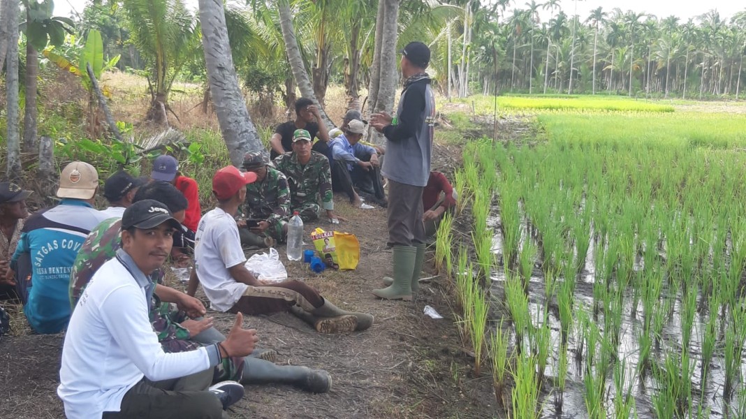 Penanaman Padi Bersama Warga: Upaya Babinsa Koramil 07/Reteh untuk Meningkatkan Ketahanan Pangan