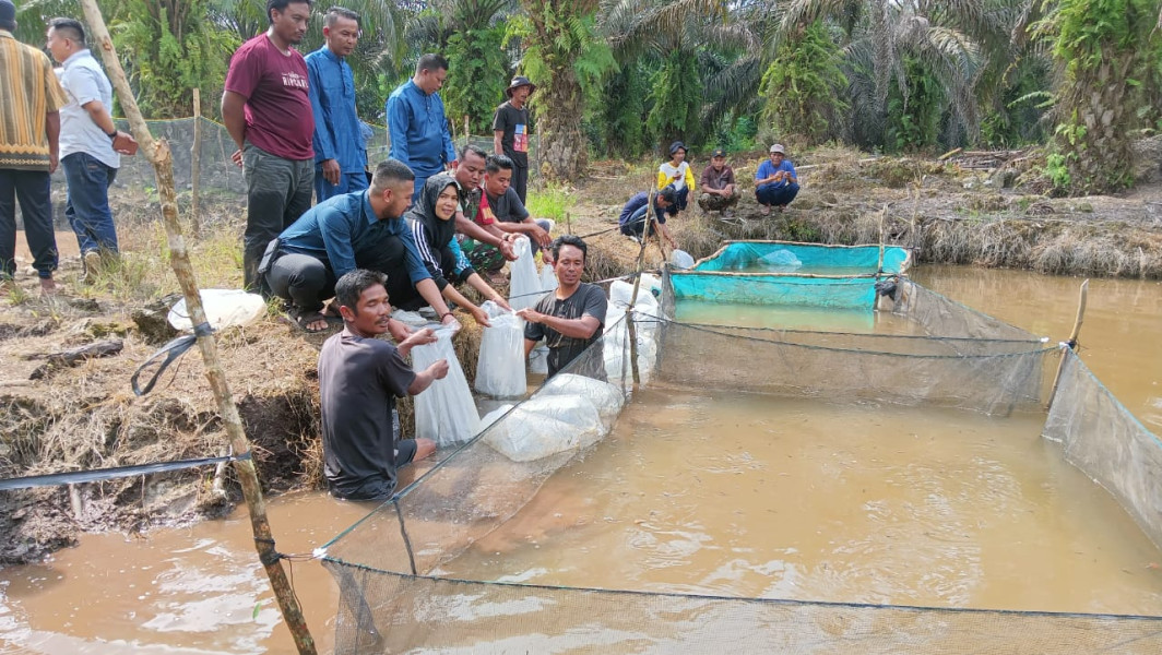 Babinsa Koramil 09/Kemuning Bersama Aparat Desa dan Warga Lakukan Penaburan Benih Ikan Patin