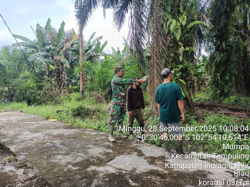 Patroli Perbatasan: Babinsa Koramil 03/Tpl dan Masyarakat Bersatu Jaga Wilayah Tempuling dari Karhutla