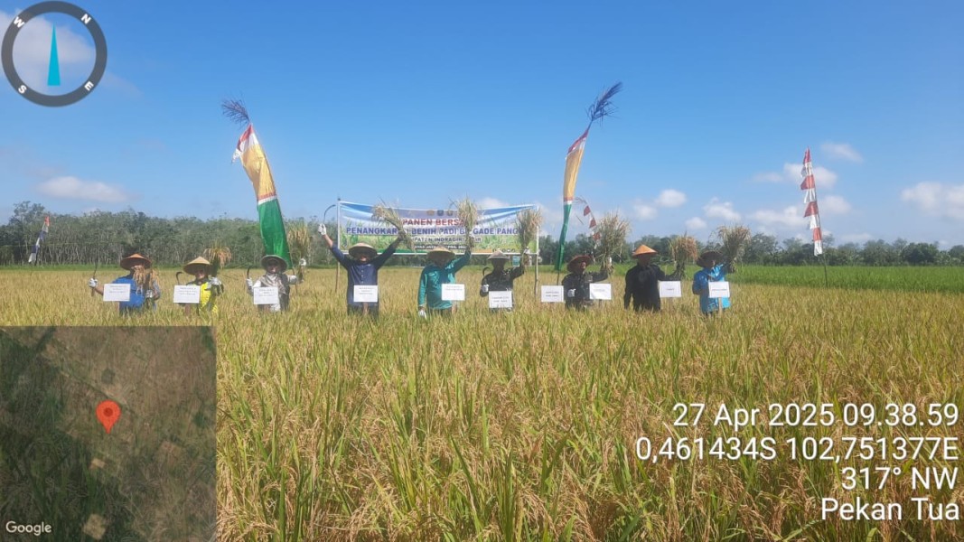 Danramil 03/Tempuling Beserta Anggota Hadiri Acara Panen Raya dan Gerakan Tanam Padi di Desa Bayas Jaya