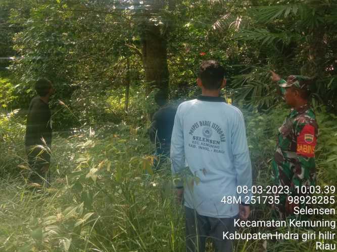 Cegah Lahan dan Hutan Melalui Patroli dan Sosialisasi Babinsa Koramil 09/Kemuning