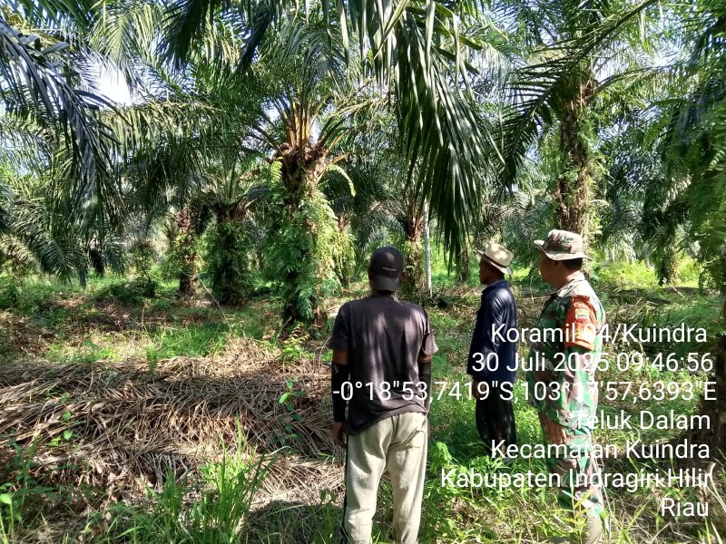 Koramil 04/KDR Gencar Lakukan Patroli Karhutla untuk Mencegah Kebakaran Hutan dan Lahan