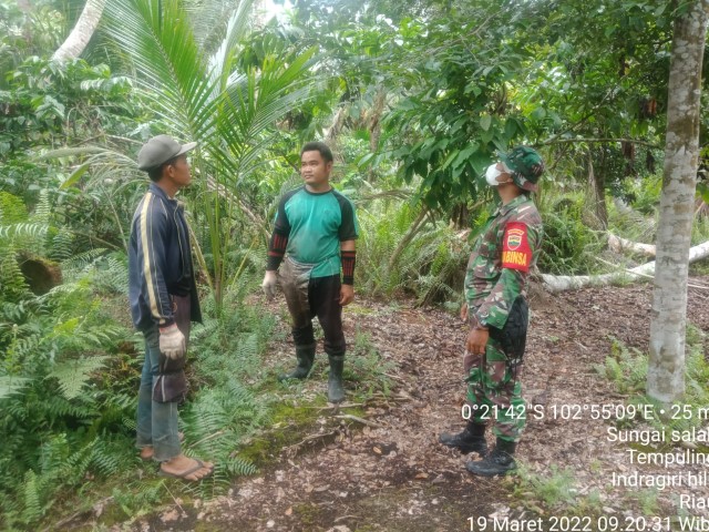Biarpun Cuaca Masih Sering Hujan, Babinsa 03/Tempuling Tetap Galakkan Kegiatan Patroli Karhutla