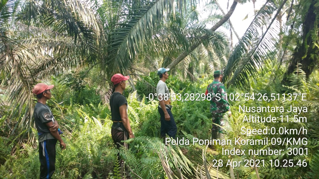 Babinsa Koramil 09/Kemuning Rutin Lakukan Patroli Karhula di Nusantara Jaya