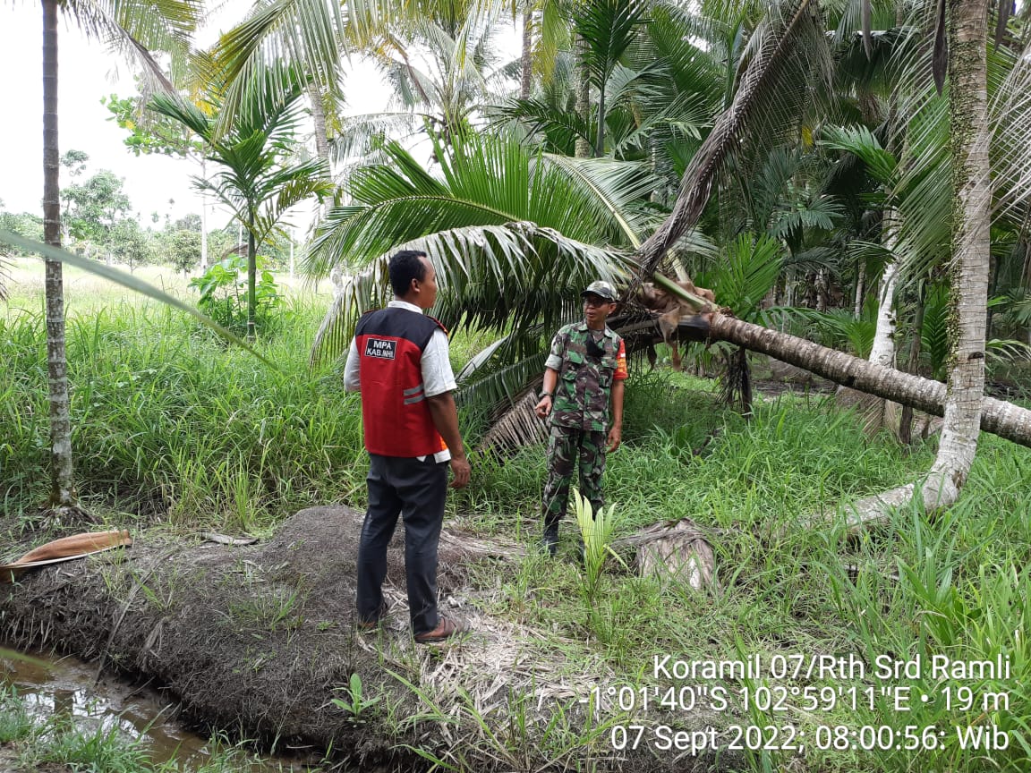 Patroli dan Sosialisasi Terus Di Lakukan Babinsa Koramil 07/Reteh Guna Cegah Kebakaran