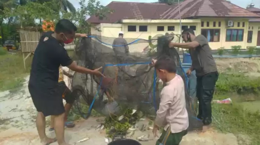 Kolam Ikan Dikelolah Oleh Personil Polsek Koto Gasib, Wah, Ini Hasilnya