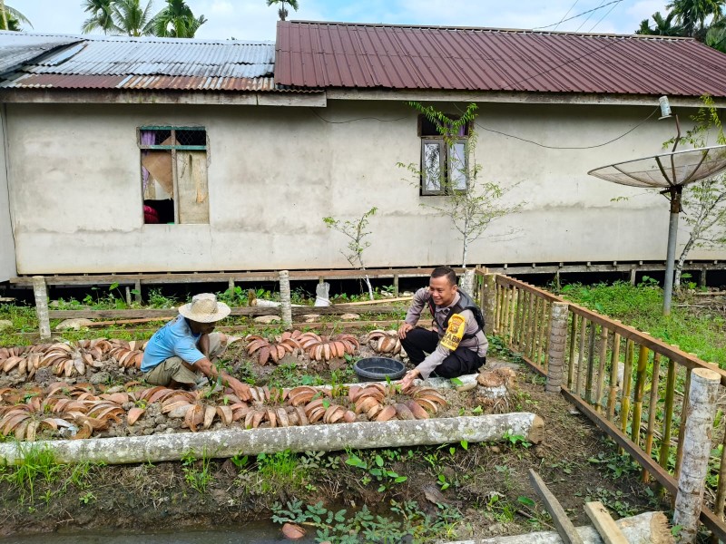 Dari Kecamatan GAS untuk Inhil, Pemdes dan Bhabinkatibmas Sinergi Jaga Ketahanan Pangan