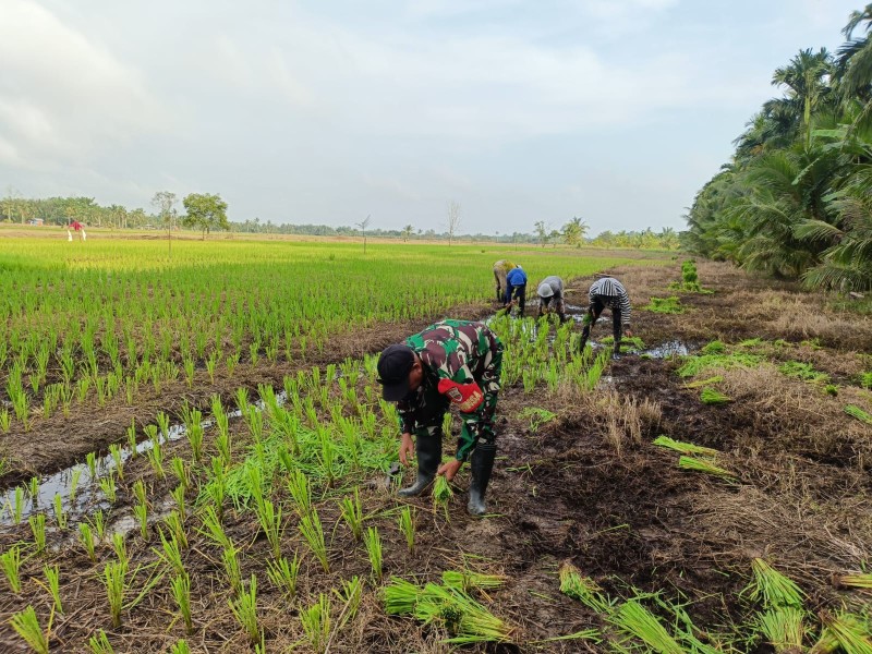 Babinsa Koramil 07/Reteh Tetap Semangat Pendamping Petani di Bulan Puasa