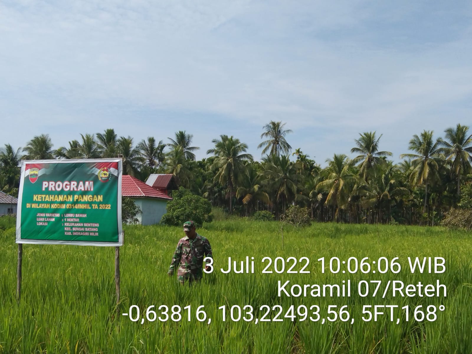 Perawatan Rumput Dari Rumput dan Hama Daun, Serda Wahyudin Lakukan Penanaman Ketahanan Pangan