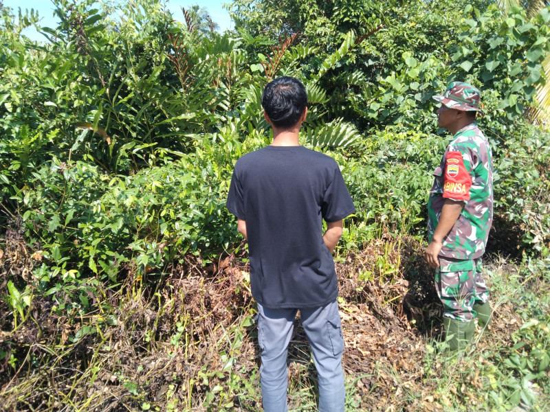 Cegah Kebakaran Lahan dan Hutan Melalui Patroli dan Sosialisasi Babinsa Koramil 04/Kuindra