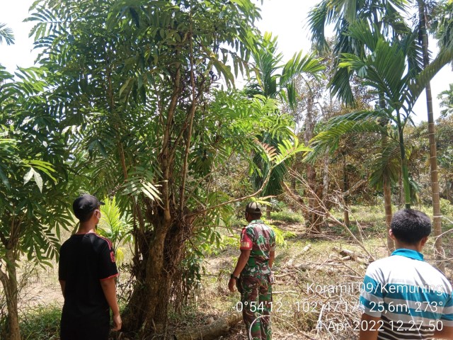 Walaupun Puasa, Babinsa Koramil 09/Kemuning Tetap Lakukan Patroli Karhutla