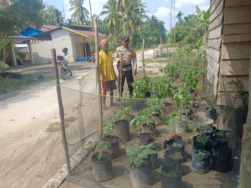 Bhabinkamtibmas Polsek Keritang Jadi Sahabat Petani, Bripka Erwin Sapa Misnu di Kebun Cabai Sencalang