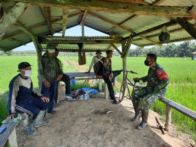 Dukung Program Ketahanan Pangan, Babinsa 03/Tempuling Sambangi Petani di Sawah