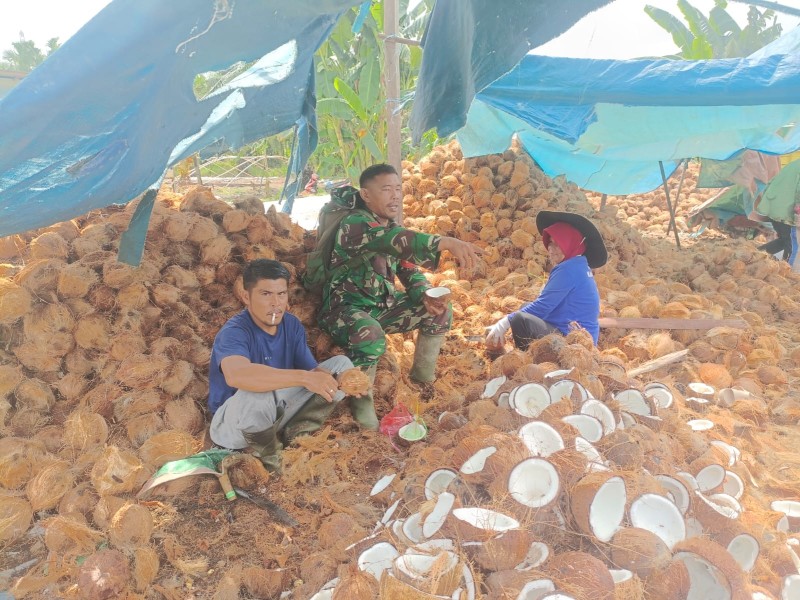 Kopka RH Tambunan, Babinsa Koramil 03/Tempuling, Jalin Silaturahmi dengan Petani Kelapa di Desa Harapan Jaya, Meningkatkan Kesejahteraan dan Produktivitas Pertanian