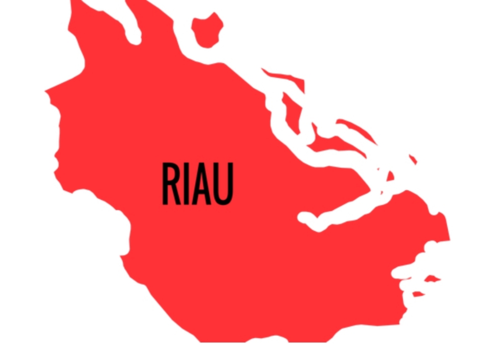 Riau Masuk Dalam 10 Besar Daerah Berisiko Penularan Covid-19