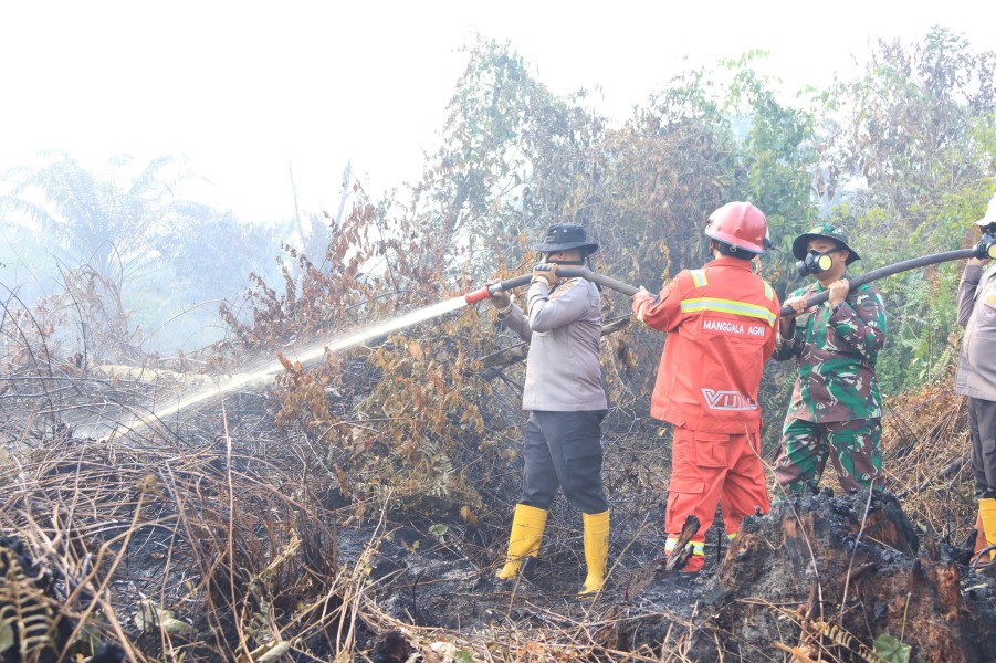 10 Hektar Lahan Terbakar, Kapolres Inhil dan Dandim Turun Langsung Melakukan Pemadaman