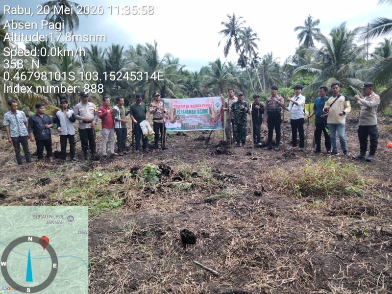 Dukung Program Holtikultura, Polsek Enok Ikuti Penanaman Jagung