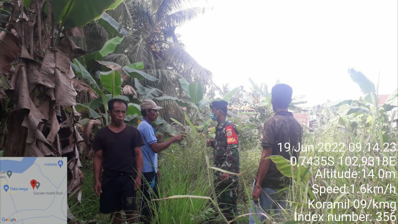 Terus Ingatkan Warga Agar Selalu Menjaga Hutan dan Lahan Oleh Babinsa Koramil 09/Kemuning