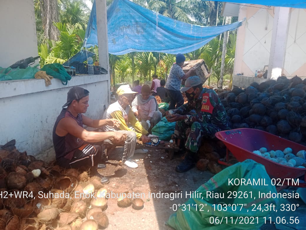 Babinsa Desa Suhada Komsos dengan Petani Kelapa