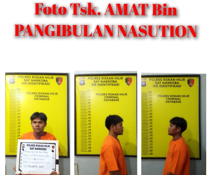 Amankan Sabu Seberat 19, 81 Gram, Pengguna Diamankan Satresnarkoba Polres Rohil