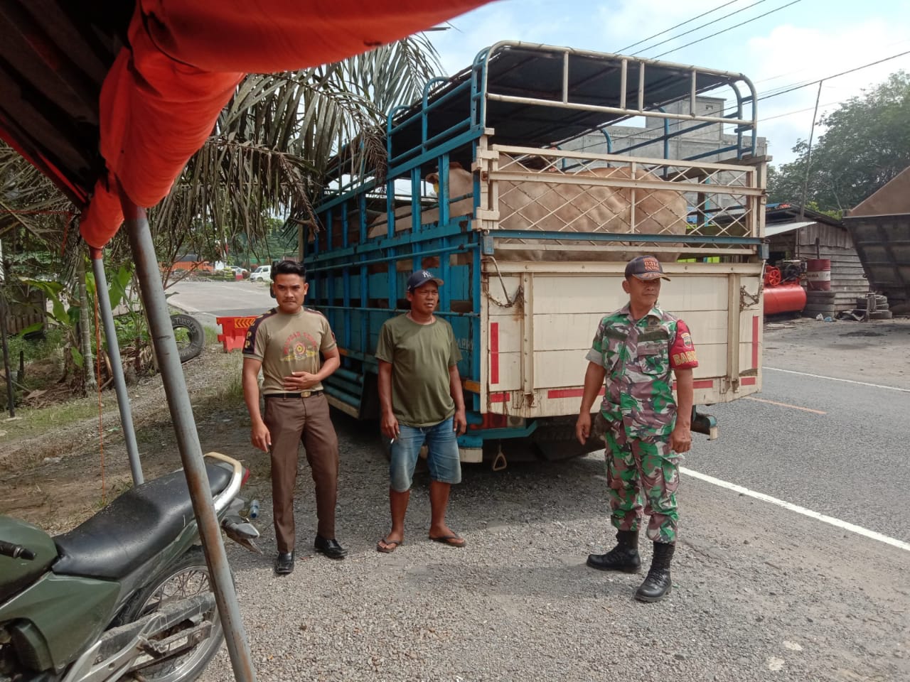 Sertu A. Hayat Rutin Lakukan Pengawasan Lalu Lintas Ternak Waspadai PMK