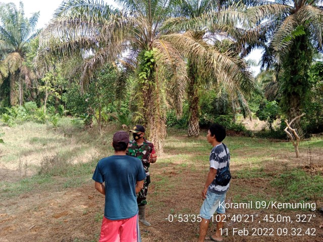 Sosialisasi dan Pencegahan Karhutla oleh Babinsa Koramil 09/Kemuning