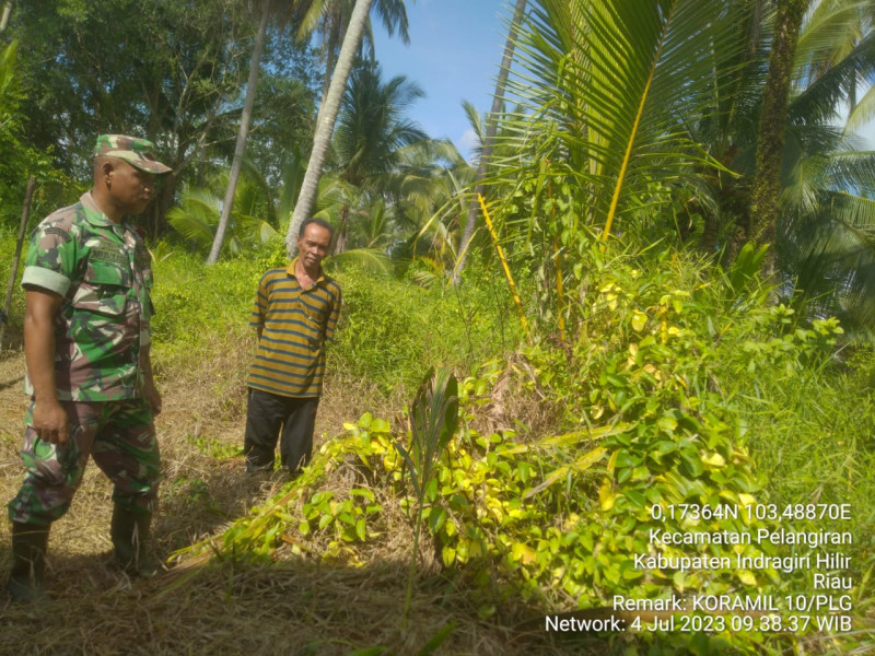 Patroli Rutin Terus Dilakukan Babinsa Koramil 10/Pelangiran Guna Cegah Kebakaran