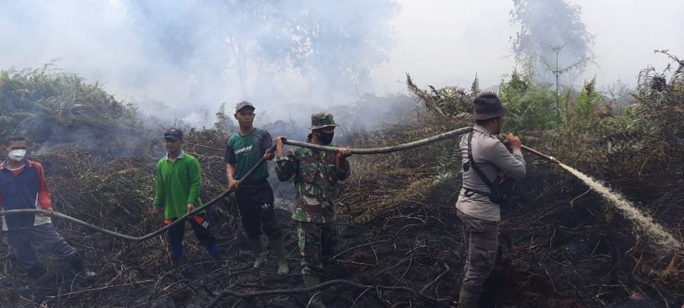 Upayakan Pemadaman dan Pendinginan Karlahut, Anggota Koramil 03/Tpl dan Tim Gabungan Terjun ke Lokasi