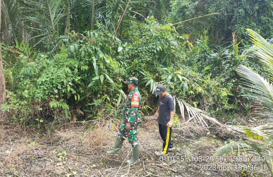 Dengan Tekad Yang Kuat, Babinsa Koramil 10/Pelangiran Terus Patroli dan Telusuri Lahan dan Hutan
