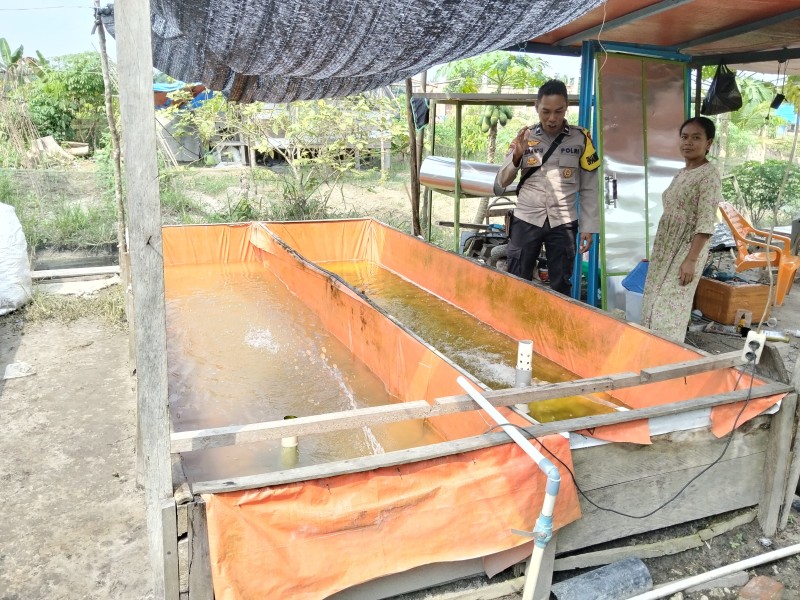 Kapolsek Keritang Dorong Ketahanan Pangan, Bhabinkamtibmas Sambangi Kolam Ikan Warga di Desa Petalongan