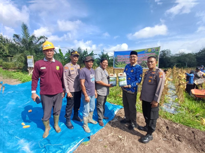 Wakapolsek Siak Serahkan Pupuk Cair Fertiplus Harmoni Hijau kepada Kelompok Tani Benteng Jaya