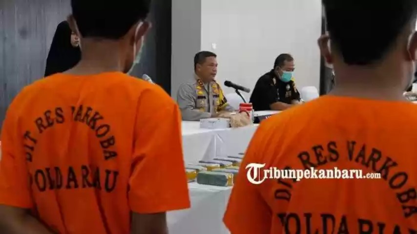 Selama 2 Pekan Sebanyak 363 Pelaku Terkait Narkoba di Riau Ditangkap, Ini Penjelasan Kapolda