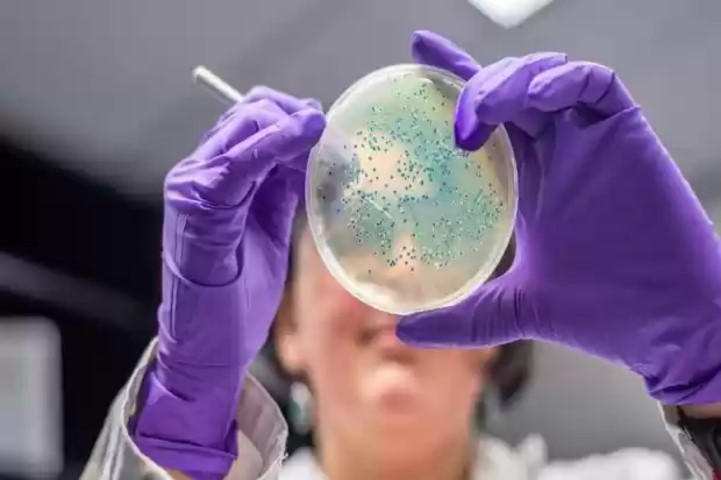 WHO Sebut AMR Berpotensi Jadi Silent Pandemic di Masa Depan, Ini Penjelasannya