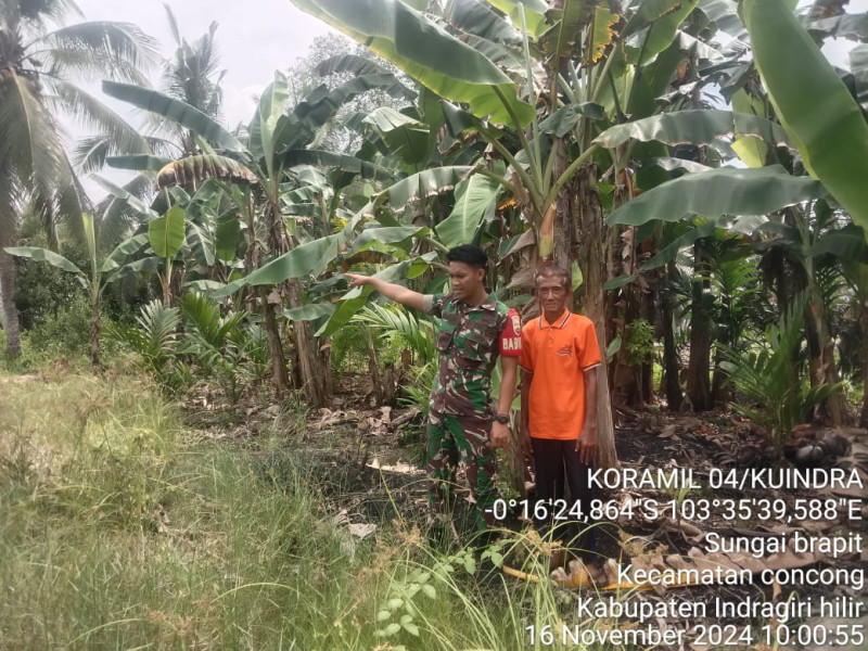 Bersama Masyarakat, Babinsa Koramil 04/Kuindra Cegah Karhutla Di Binaan