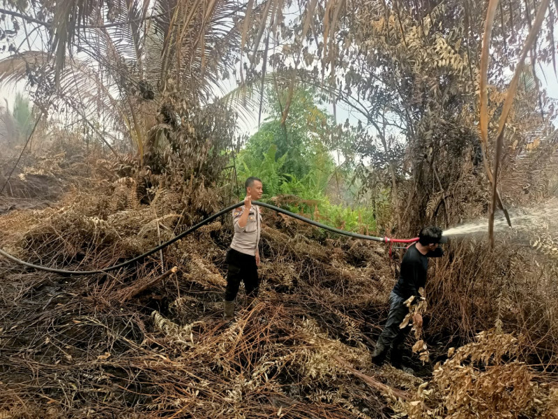 Pelaksanaan Pendinginan Lahan Yang Dilakukan Oleh Bhabinkamtibmas Polsek Gaung Anak Serka