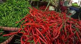 Disperindag Riau Sebut Inhil Berhasil Jaga Stabilitas Inflasi