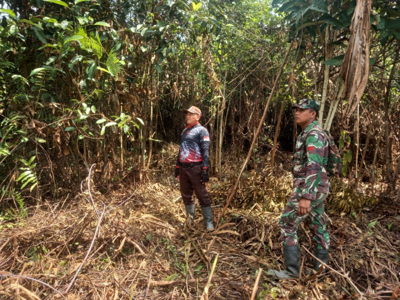 Babinsa 05/Gas Pratu Sandi Wahyudi Gencar Laksanakan Patroli Hutan Dan Lahan Guna Cegah Kebakaran di Binaan