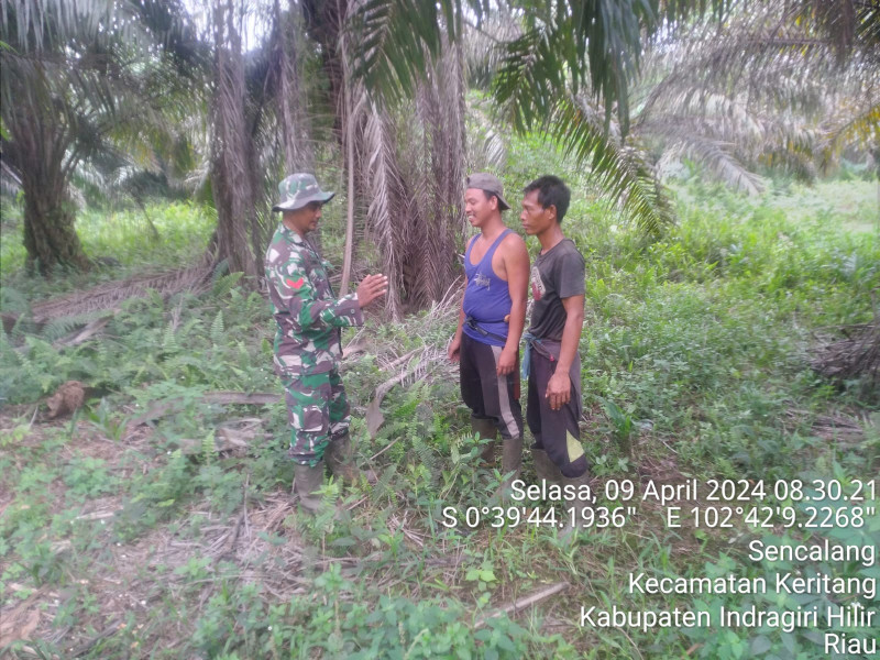 Babinsa Koramil 09/Kmg Sosialisasikan Stop Karhutla di Binaan Bersama Masyarakat Setempat