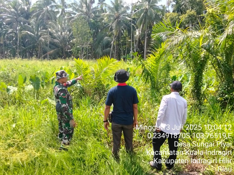 Babinsa Koramil 04/Kuindra Laksanakan Patroli Karhutla untuk Mengantisipasi Kebakaran Hutan