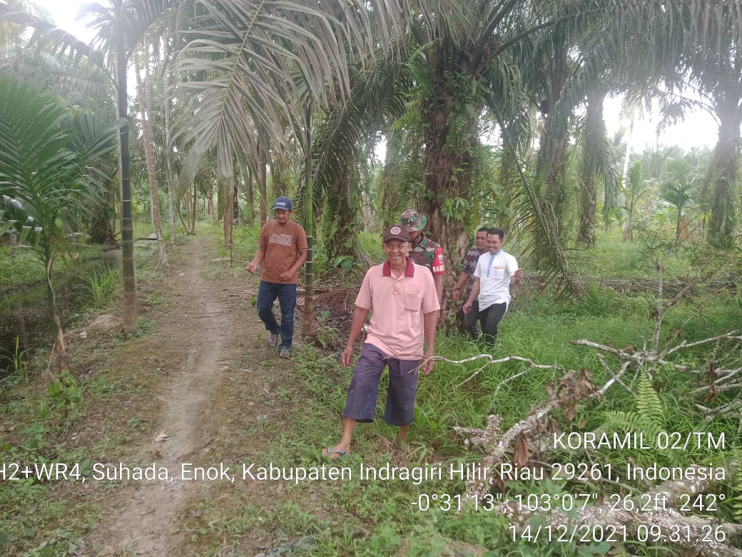 Keluar Masuk Kebun Warga di Suhada, Babinsa Rutin Lakukan Patroli Karhutla