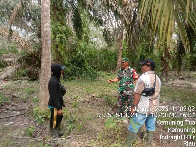 Babinsa Koramil 09/Kemuning Tetap Jaga Hutan dan Lahan