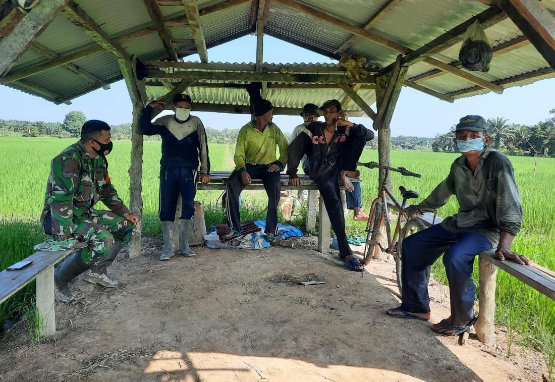 Siap Lakukan Pendampingan Hingga Panen, Babinsa 03/Tempuling Komsos dengan Petani