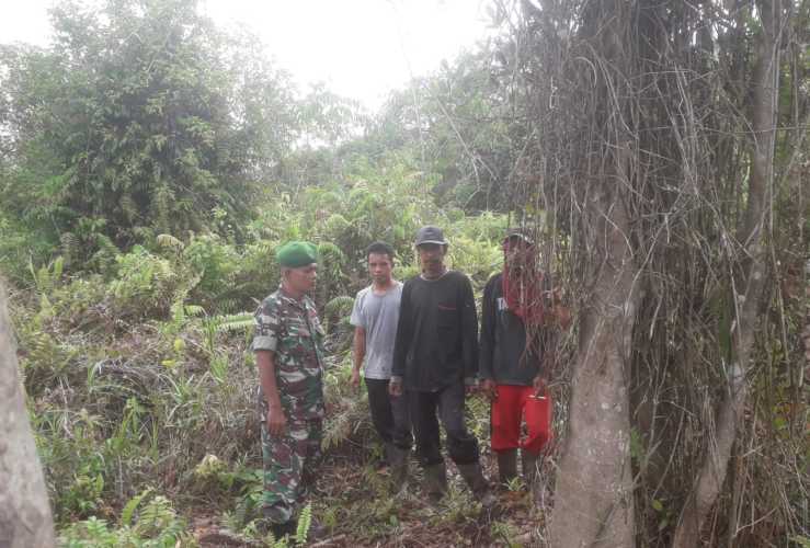 Sosialisasi dan Patroli Karlahut Oleh Babinsa Koramil 04/Kuindra di Wilayah