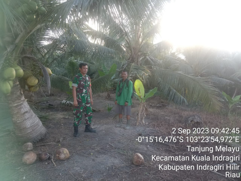 Saling Menjaga Antar Sesama, Babinsa Koramil 04/Kuindra Lihat Situasi Karhutla