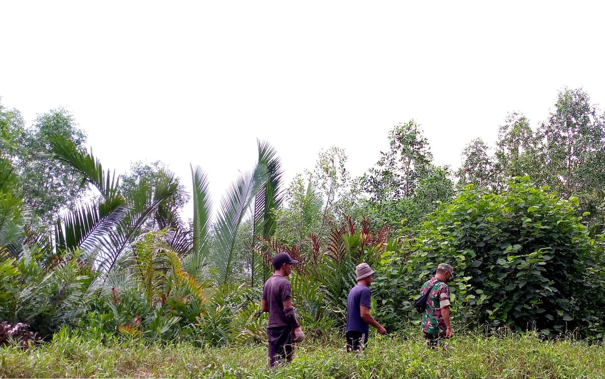 Himbauan Karhutla Oleh Sertu K. Panjaitan di Wilayah